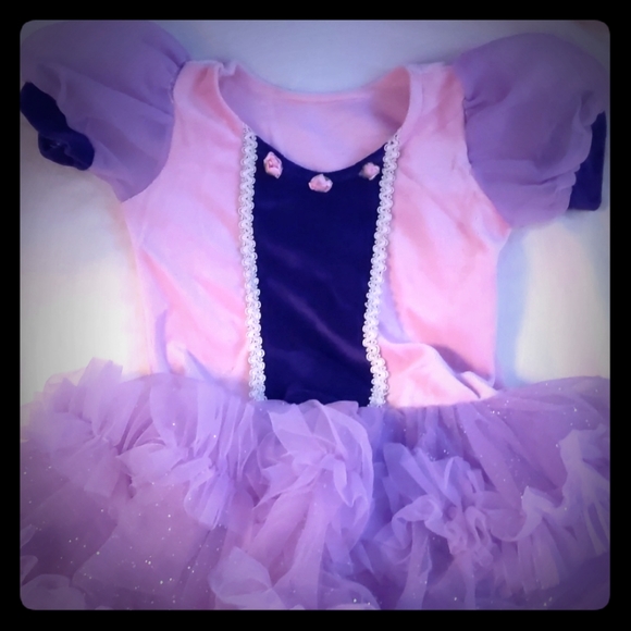 sofia the first costume dress